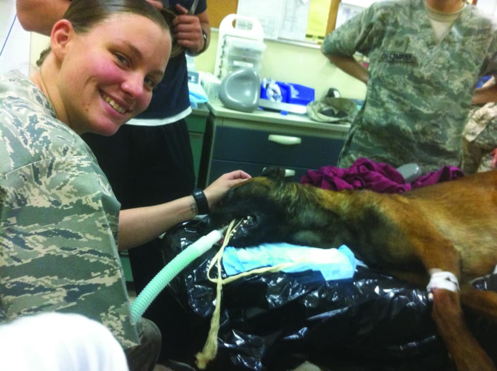 soldier in operatory